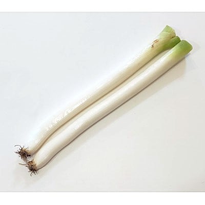 【畑でまっすぐ】青森県十和田市産　長ネギ　焼き・鍋の主役に　4kg