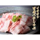 燦然　豚バラしゃぶしゃぶ　1800g(180g×10パック)