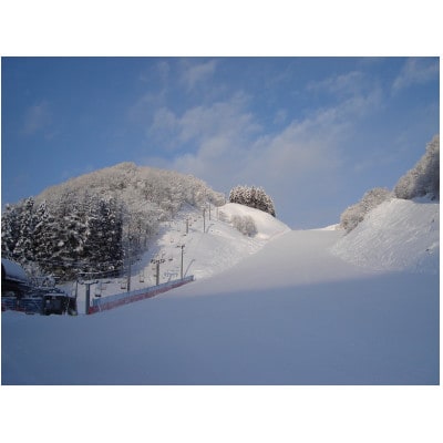 大人　リフト券　半日券(4時間券引換券)