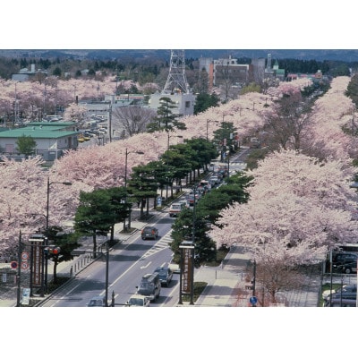 【返礼品なし】青森県十和田市　ふるさと応援寄附金