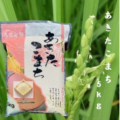 令和7年産　青森県産あきたこまち白米(真空パック)　精米5kg