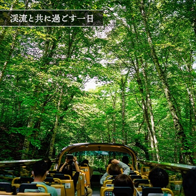 星野リゾート 奥入瀬渓流ホテル 宿泊ギフト券(15,000円分)