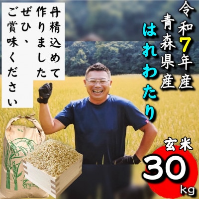 【令和7年産】青森県産はれわたり玄米30kg