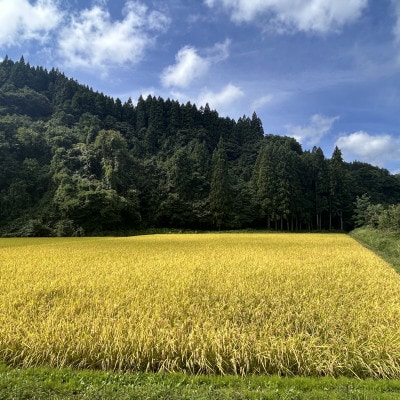 【令和7年産】青森県産はれわたり玄米30kg