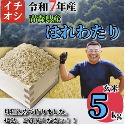 【令和7年産】青森県産 はれわたり 玄米 5kg