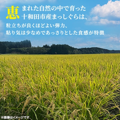 【令和7年産】青森県産まっしぐら30kg(玄米)