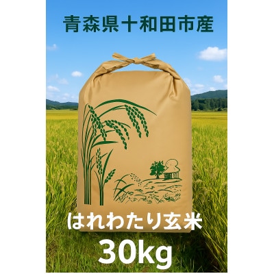 【令和7年産】はれわたり30kg(玄米)