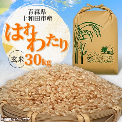 【令和7年産】はれわたり30kg(玄米)