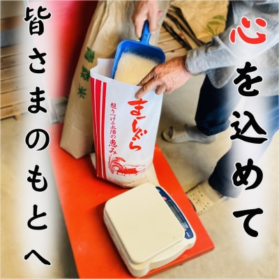 【令和7年産】青森県産まっしぐら精米5kg