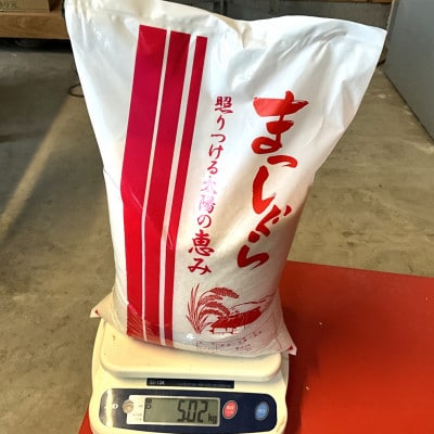 【令和7年産】青森県産まっしぐら精米5kg