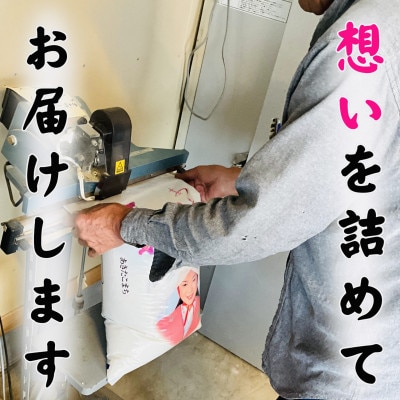 【令和7年産】青森県産あきたこまち 精米　5kg