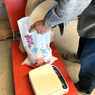 【令和7年産】青森県産あきたこまち 精米　5kg