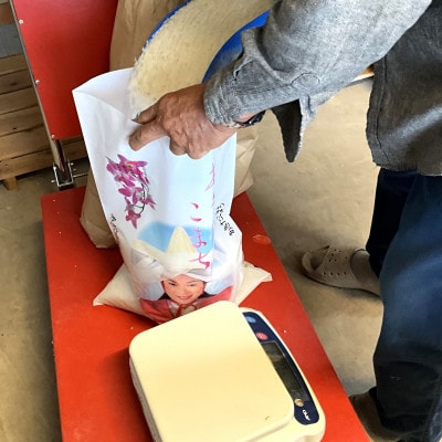 【令和7年産】青森県産あきたこまち 精米　10kg