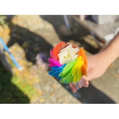 10色アイスセット