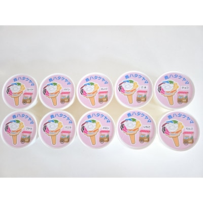 10色アイスセット