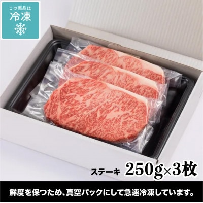 NAMIKI和牛ステーキカット 計750g 青森県十和田市産