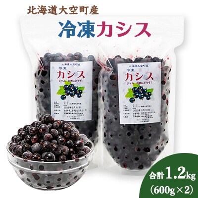 冷凍カシス 600g 2パック お礼品詳細 ふるさと納税なら さとふる 冷凍カシス 600g 2パック お礼品詳細 ふるさと納税なら さとふる