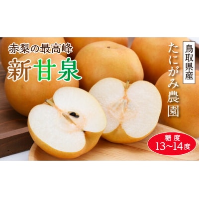 大玉新甘泉 2.5キロ箱(5～7玉入)(たにがみ農園)