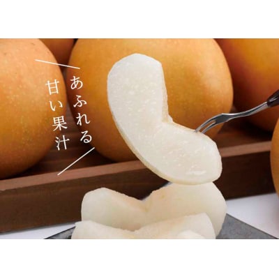 大玉新甘泉 2.5キロ箱(5～7玉入)(たにがみ農園)