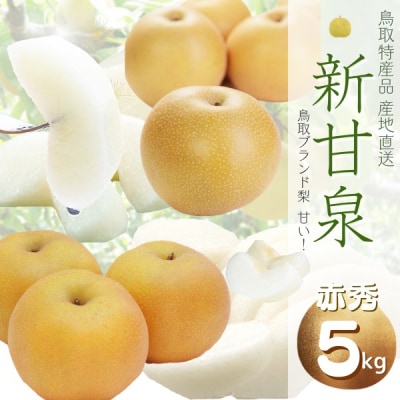 鳥取県産 新甘泉梨(贈答用) 赤秀 5kg詰(いまる)