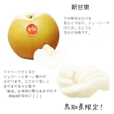 鳥取県産 新甘泉梨(贈答用) 赤秀 5kg詰(いまる)