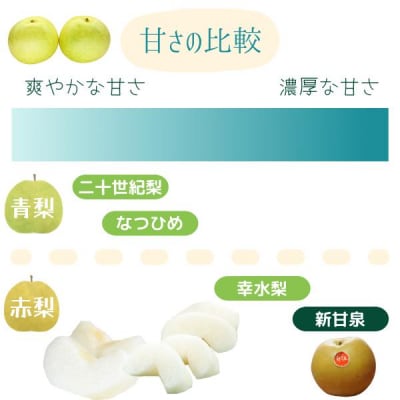 鳥取県産 新甘泉梨(贈答用) 赤秀 5kg詰(いまる)