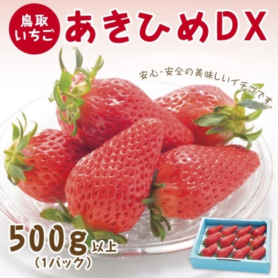 あきひめDX 500g【鳥取いちご】(とみハウス)