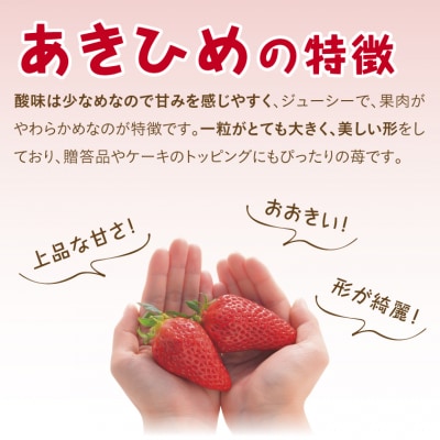あきひめDX 500g【鳥取いちご】(とみハウス)