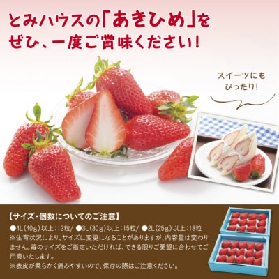 あきひめDX 500g【鳥取いちご】(とみハウス)