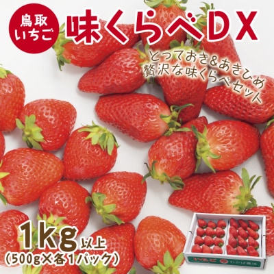 味くらべDX 1kg【鳥取いちご】(とみハウス) | 鳥取県鳥取市