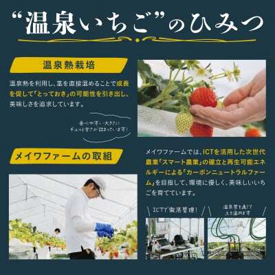 鳥取県産とっておき「温泉いちご」大きさいろいろ詰め合わせ 1キロ