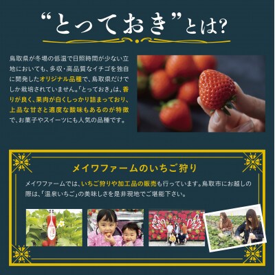 鳥取県産とっておき「温泉いちご」大きさいろいろ詰め合わせ 1キロ