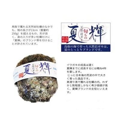 天然岩牡蠣(活)夏輝 350g-450g前後(特大サイズ) 10個セット(いま