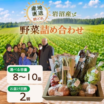 【定期便2ヶ月】宮城県 岩沼産 産地直送 朝どれ 新鮮野菜 8～10種類 詰め合わせセット