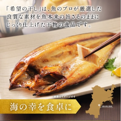 厳選 干物セット 希望の干し Aセット[No.5704-0180]