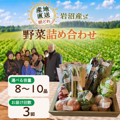 【定期便3ヶ月】宮城県 岩沼産 産地直送 朝どれ 新鮮野菜 8～10種類 詰め合わせセット