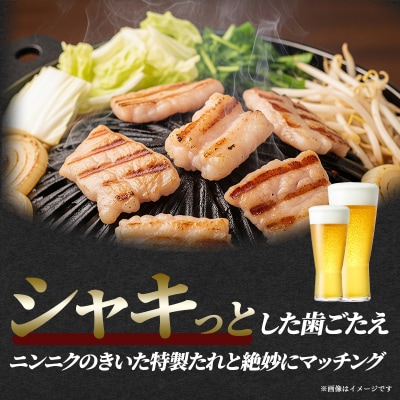 【河村商店】岩沼ホルモン(とんちゃん)400g×5個[No.5704-0451]