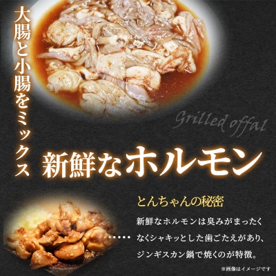 【河村商店】岩沼ホルモン(とんちゃん)400g×5個[No.5704-0451]