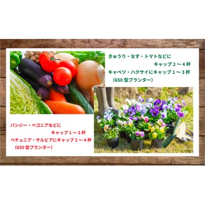 お花と野菜 元気に育てる有機化成肥料 500g×2本[No.5704-0657]