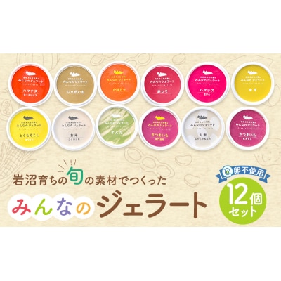 岩沼みんなの家の「みんなのジェラート」12個セット詰め合わせ[No.5704-0636]