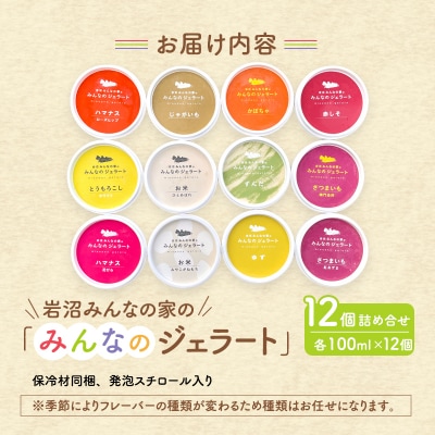 岩沼みんなの家の「みんなのジェラート」12個セット詰め合わせ[No.5704-0636]