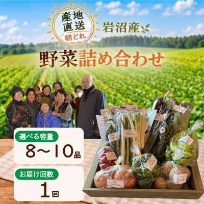 宮城県 岩沼産 産地直送 朝どれ 新鮮野菜 8～10種類 詰め合わせセット