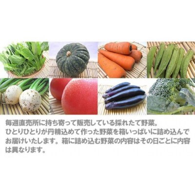岩沼みんなの家の「みんなの直売!野菜」セット 8～10個 詰め合わせ[No.5704-0326]