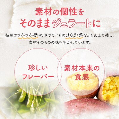 岩沼みんなの家の「みんなのジェラート」8個セット[No.5704-0325]