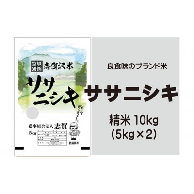 ササニシキ　精米10kg(5kg×2)[No.5704-0501]