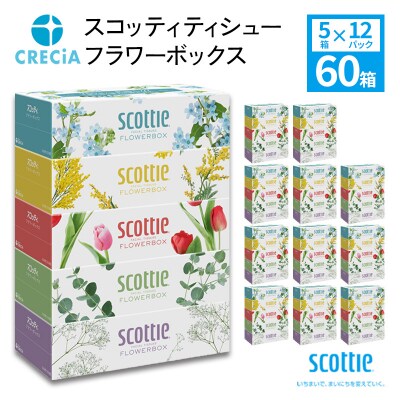 ティシュ 60箱 スコッティ ティシュー フラワーボックス 5×12P [No.5704-0724]