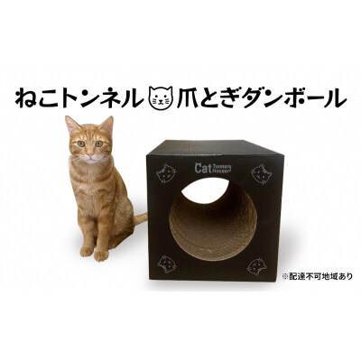 ねこトンネル～Cat Tonneru House～[No.5704-0830]