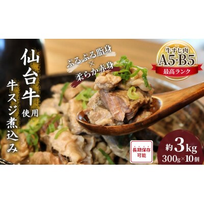 仙台牛 牛スジ煮込み300g 10個セット[No.5704-0859]