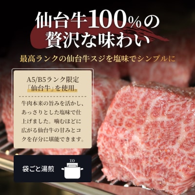仙台牛 牛スジ煮込み300g 10個セット[No.5704-0859]