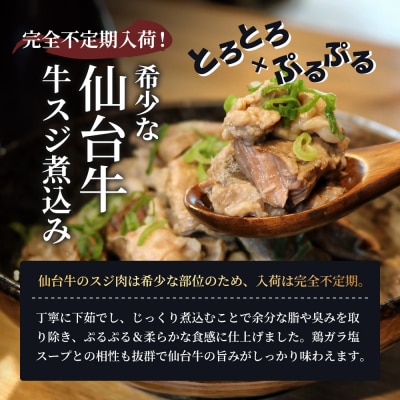 仙台牛 牛スジ煮込み300g 10個セット[No.5704-0859]